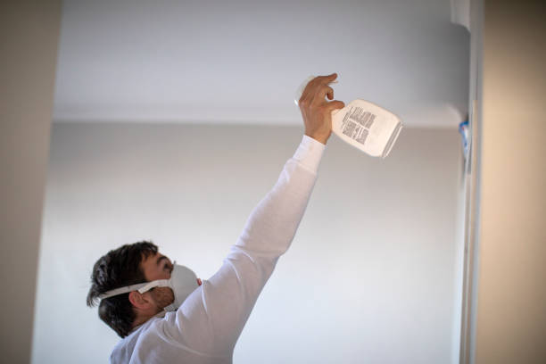 Best Black Mold Remediation in Sanger, CA